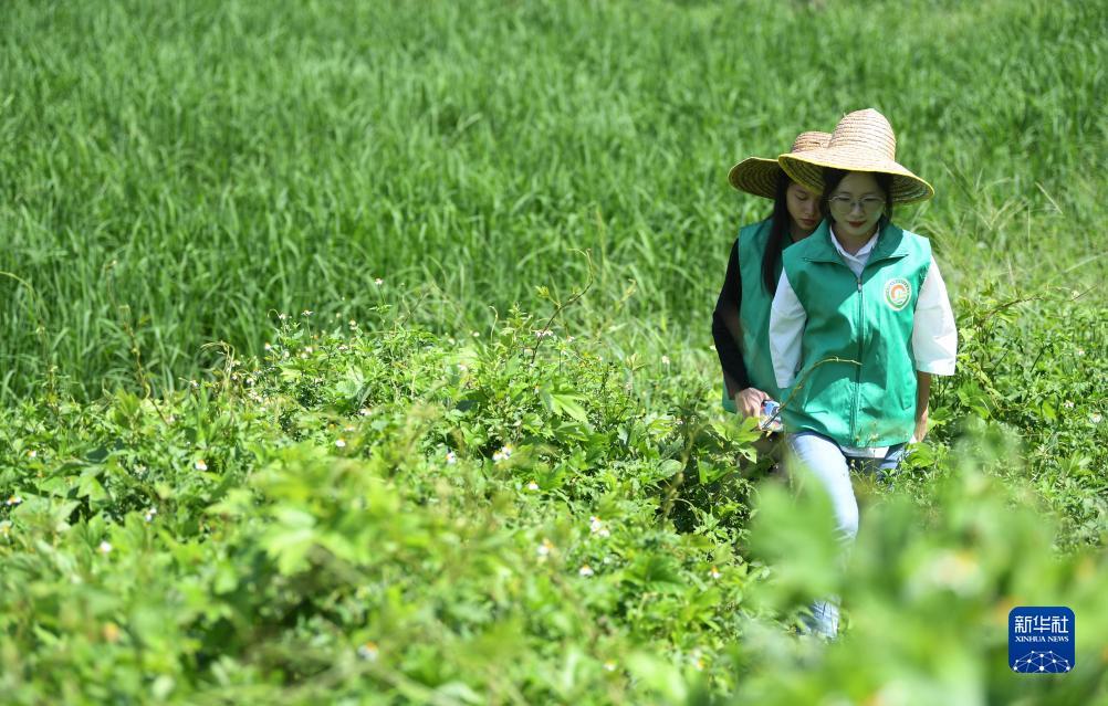 k178捕鱼游戏官方